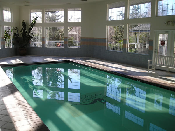 Pool Dehumidification System